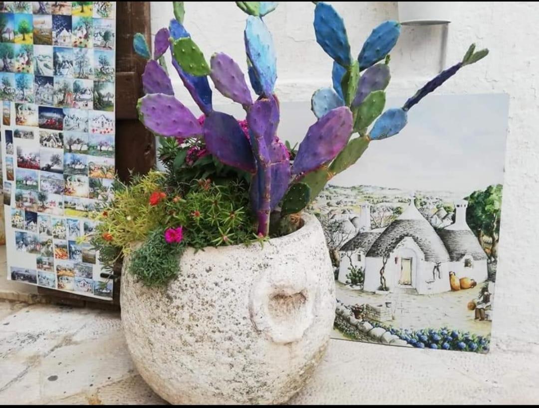 לוקורוטונדו Casa Monna B&B מראה חיצוני תמונה